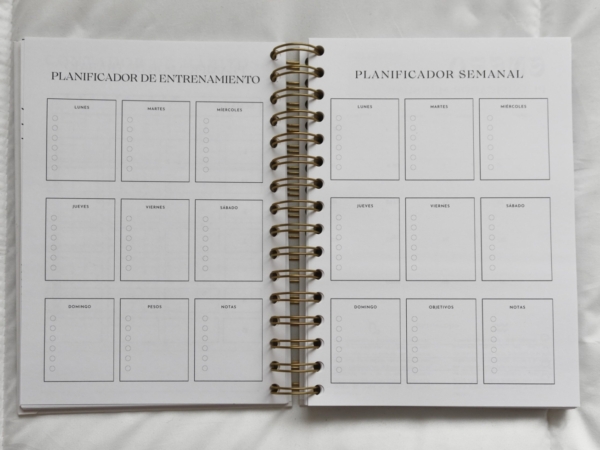 Agenda
